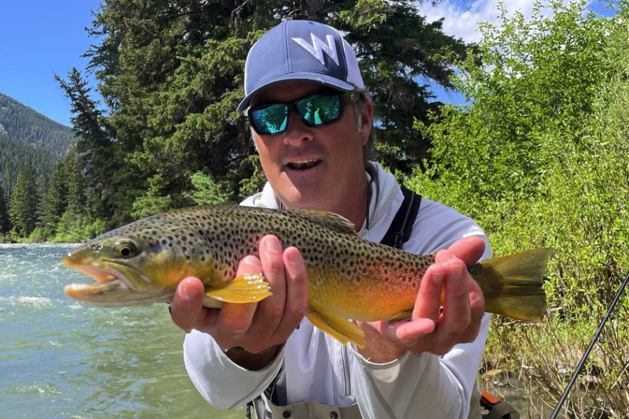 Fly fishing vacation in Montana shows blue hat and white shirt in waders holds large trout on the riverbank on sunny day.